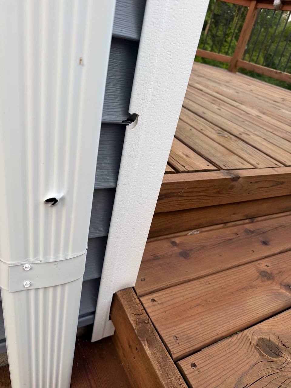The bullet hole Ed made in his own house